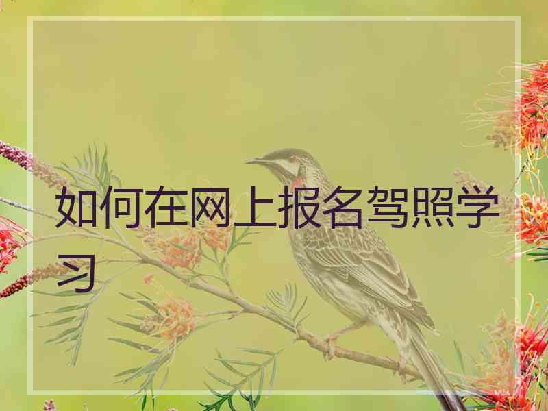 如何在网上报名驾照学习