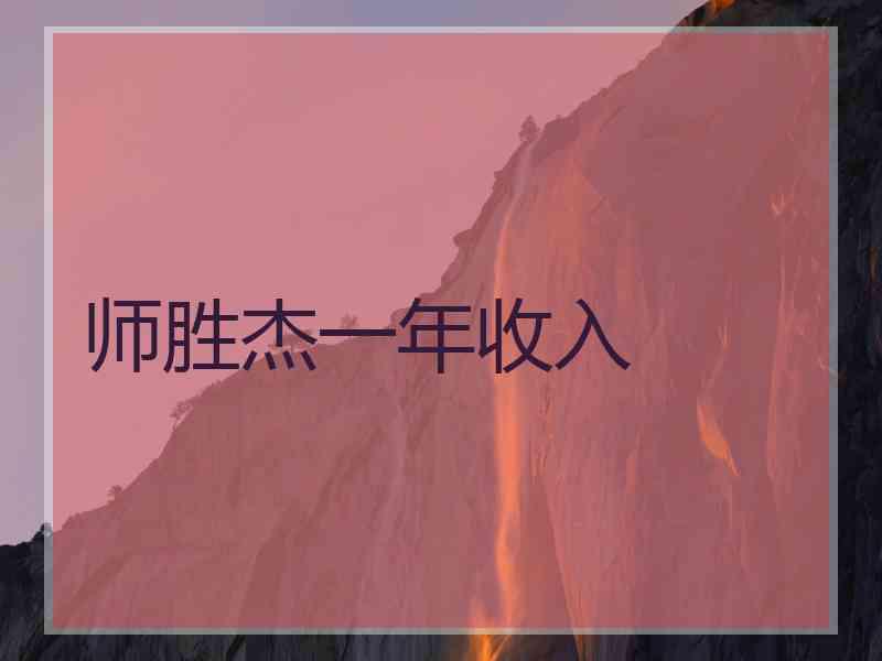 师胜杰一年收入