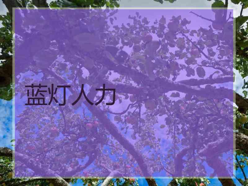 蓝灯人力