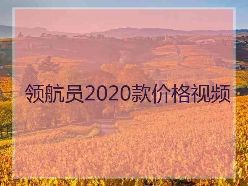 领航员2020款价格视频