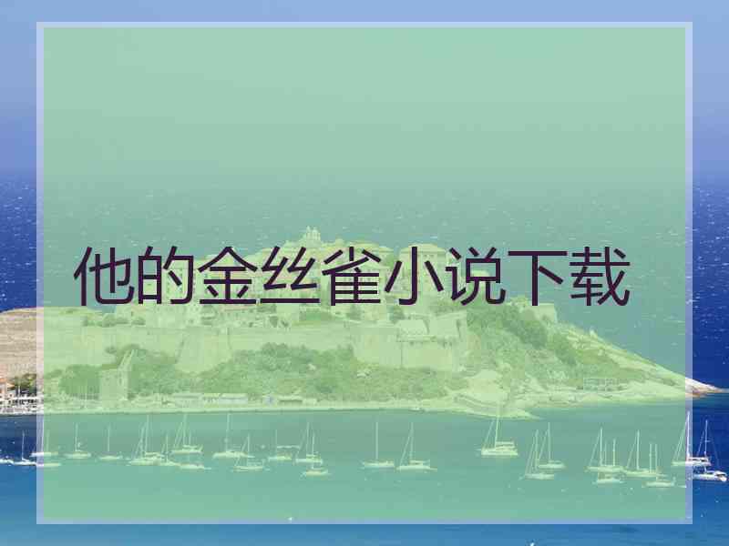 他的金丝雀小说下载