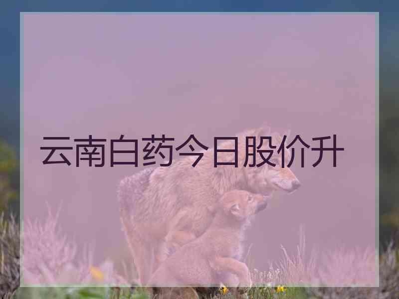云南白药今日股价升