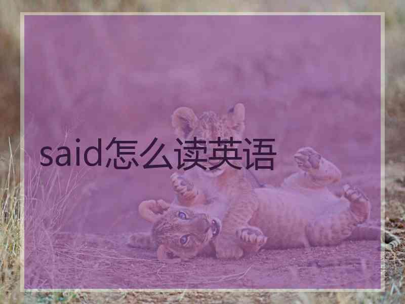 said怎么读英语