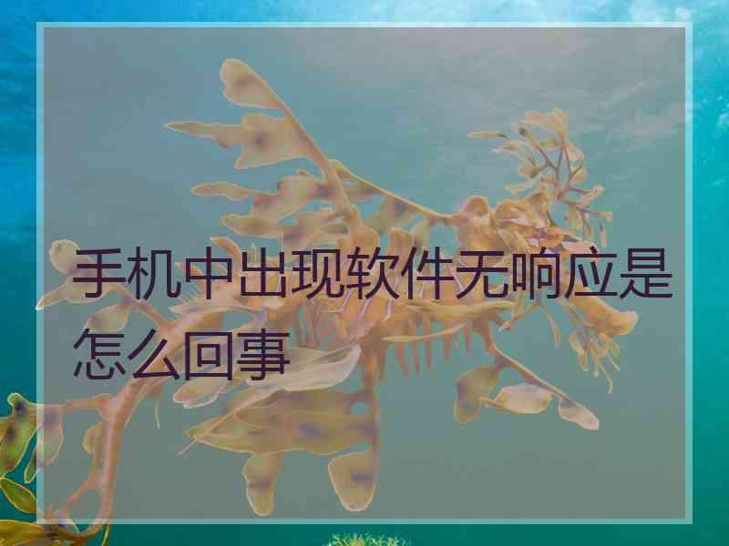 手机中出现软件无响应是怎么回事