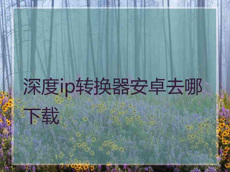 深度ip转换器安卓去哪下载