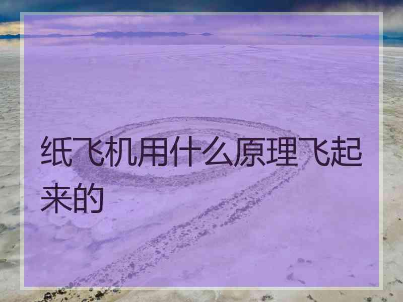 纸飞机用什么原理飞起来的