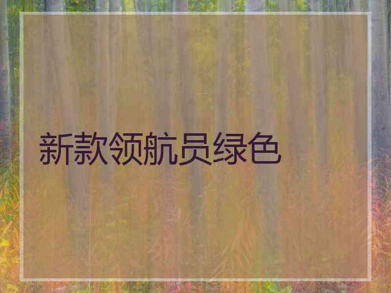 新款领航员绿色