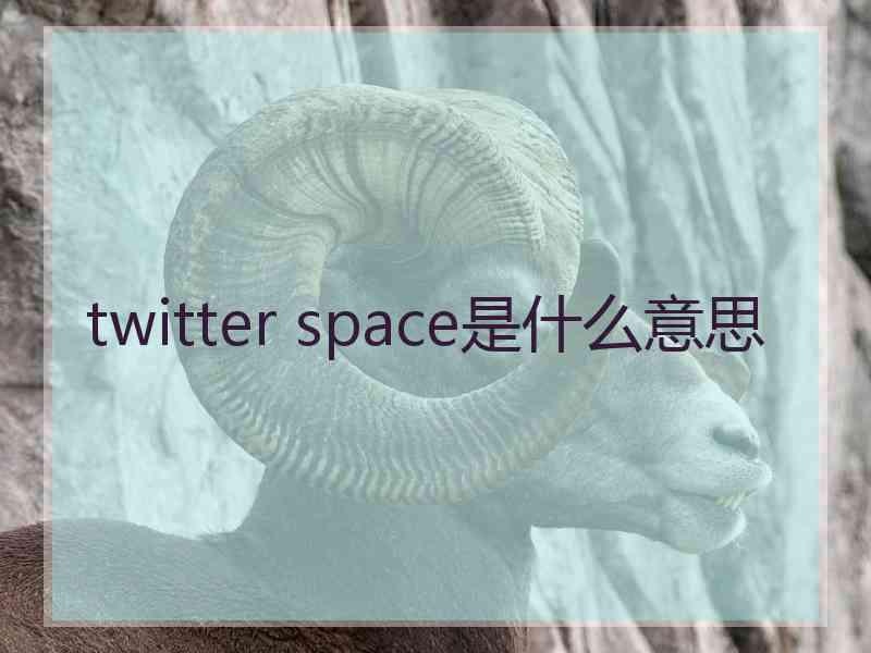 twitter space是什么意思