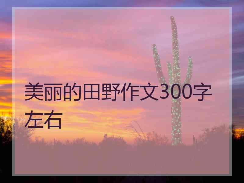 美丽的田野作文300字左右