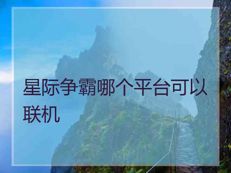 星际争霸哪个平台可以联机