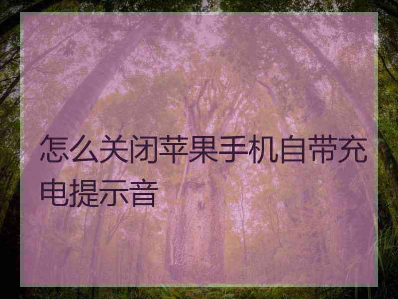怎么关闭苹果手机自带充电提示音