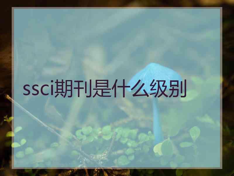 ssci期刊是什么级别