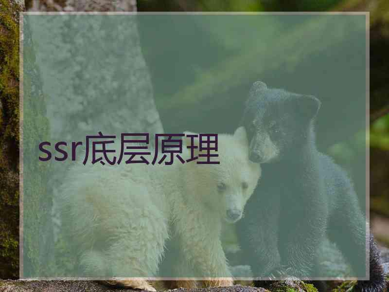 ssr底层原理