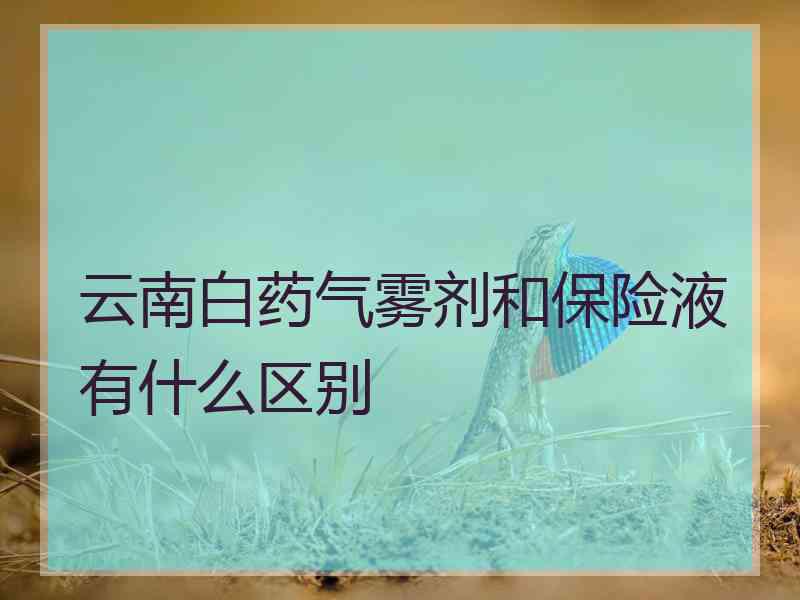 云南白药气雾剂和保险液有什么区别
