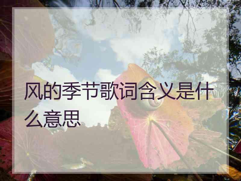 风的季节歌词含义是什么意思