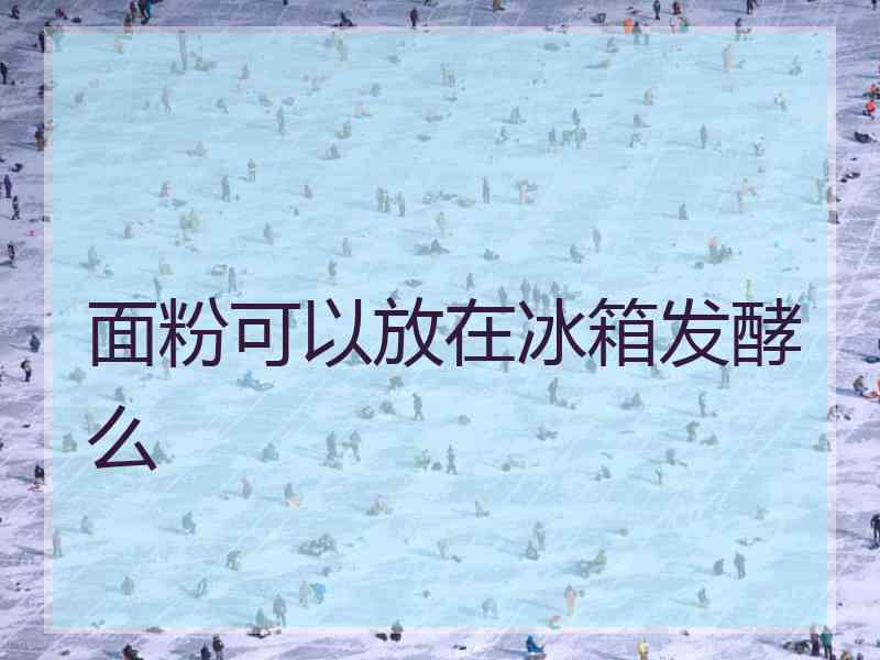 面粉可以放在冰箱发酵么