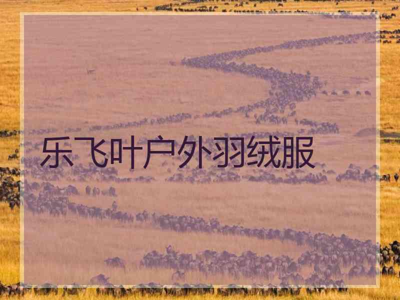 乐飞叶户外羽绒服