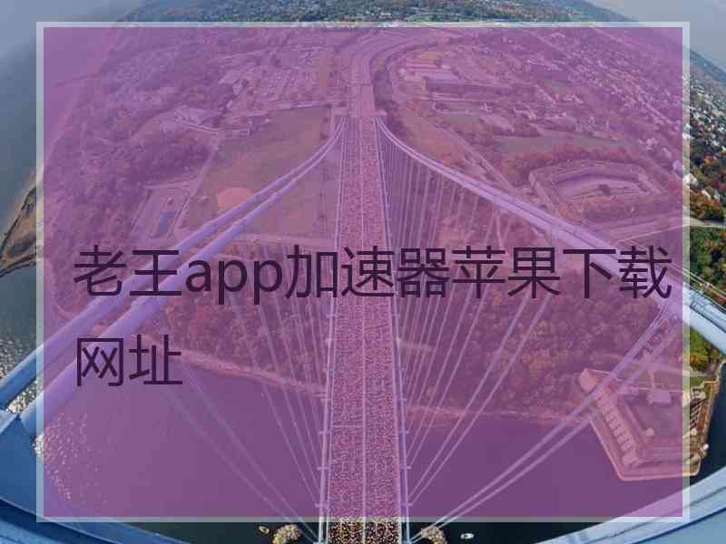 老王app加速器苹果下载网址