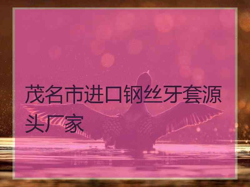 茂名市进口钢丝牙套源头厂家