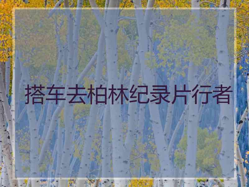 搭车去柏林纪录片行者