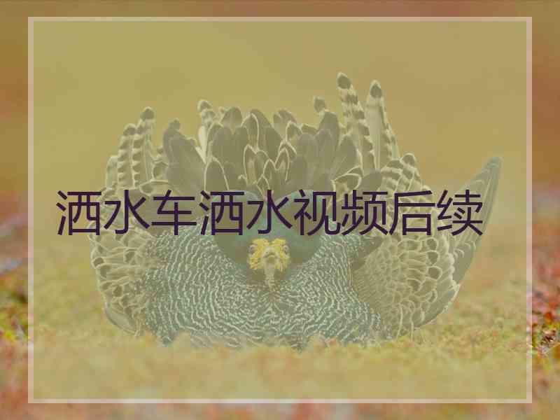 洒水车洒水视频后续