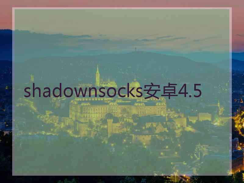 shadownsocks安卓4.5