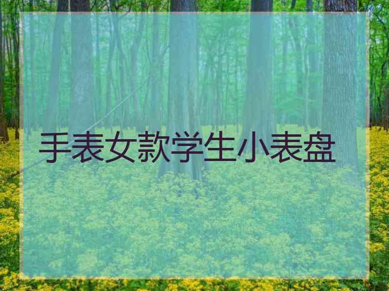 手表女款学生小表盘