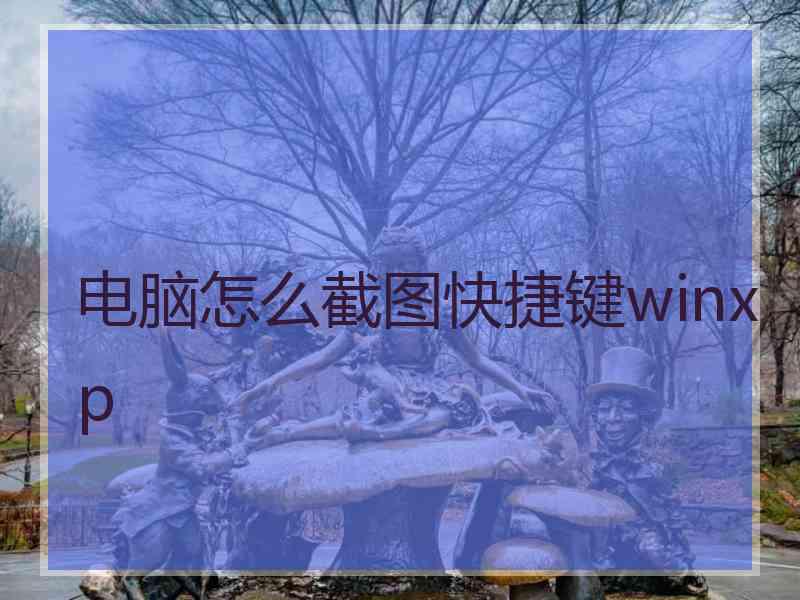 电脑怎么截图快捷键winxp