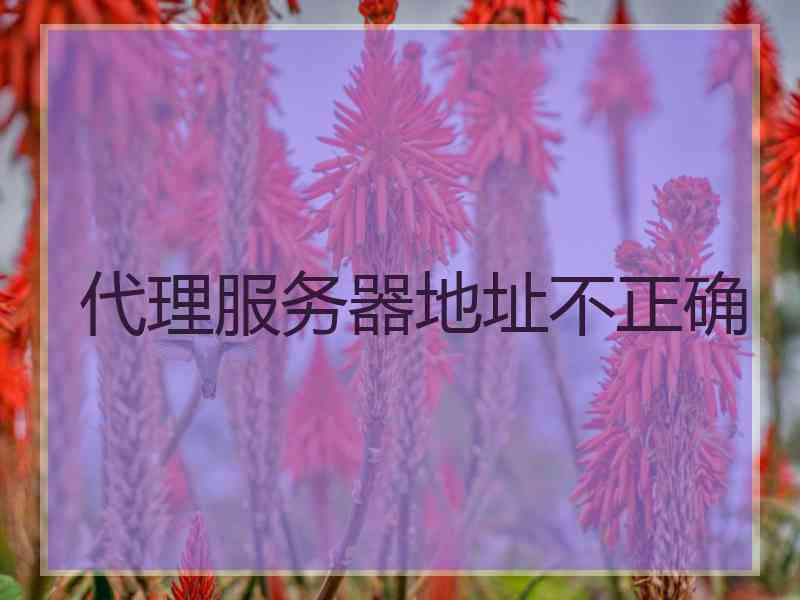 代理服务器地址不正确