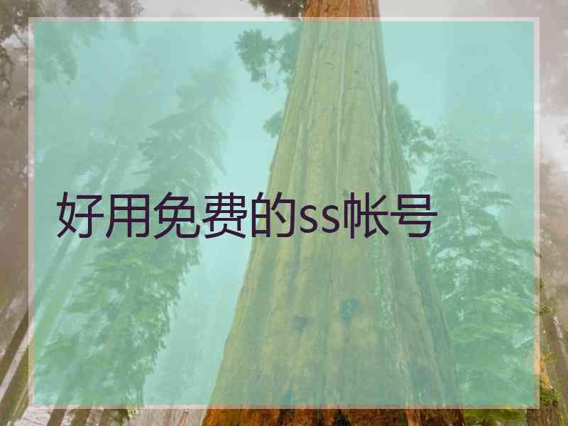 好用免费的ss帐号