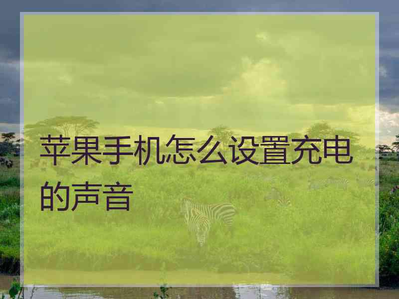 苹果手机怎么设置充电的声音