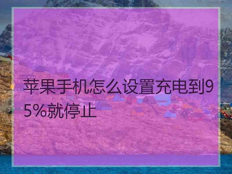 苹果手机怎么设置充电到95%就停止