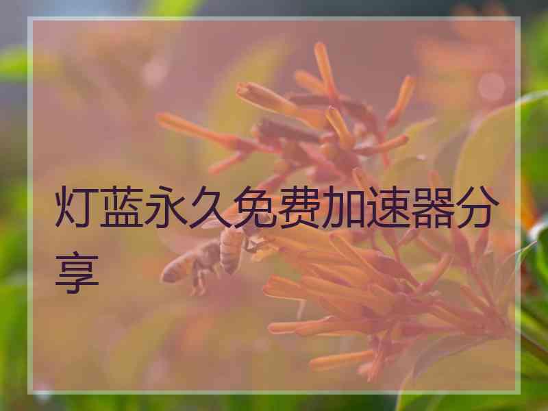 灯蓝永久免费加速器分享