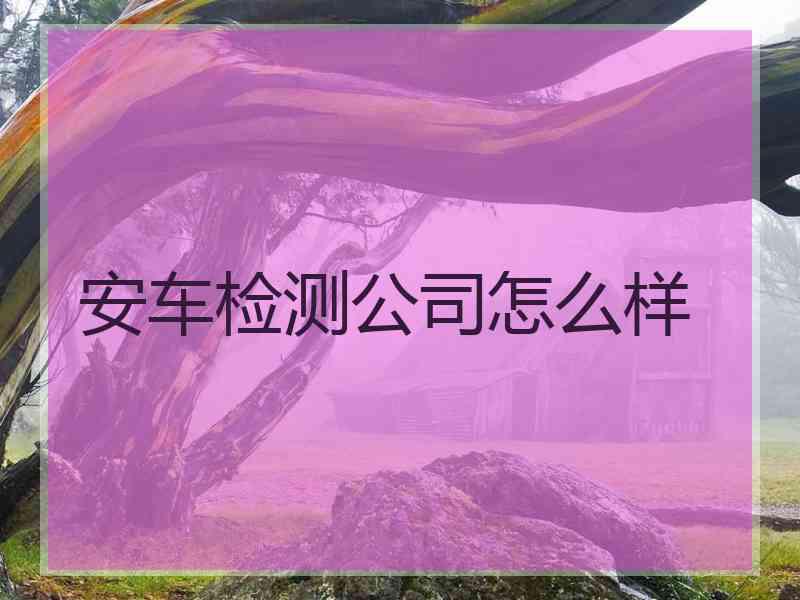 安车检测公司怎么样