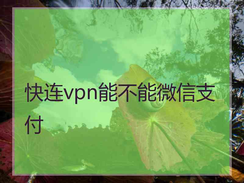 快连vpn能不能微信支付