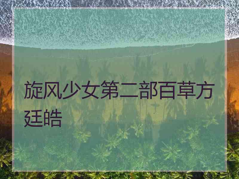 旋风少女第二部百草方廷皓