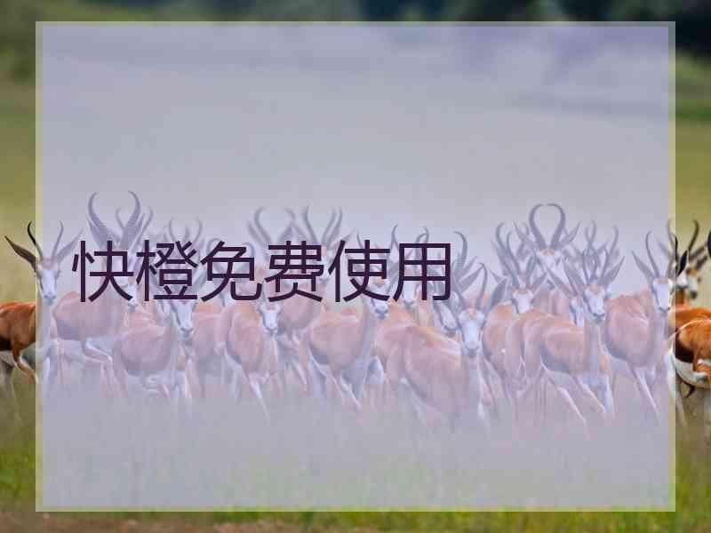 快橙免费使用