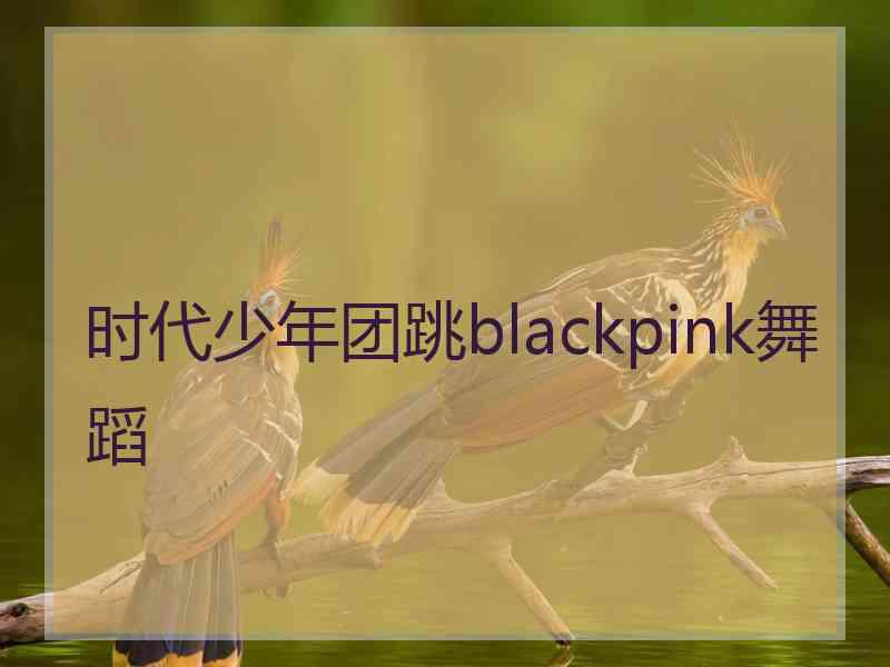 时代少年团跳blackpink舞蹈