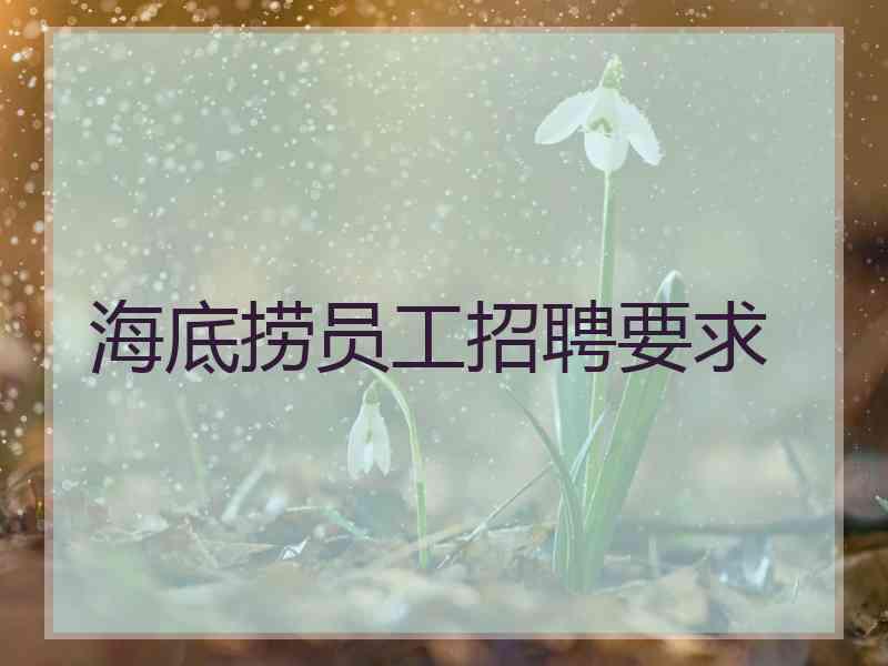 海底捞员工招聘要求