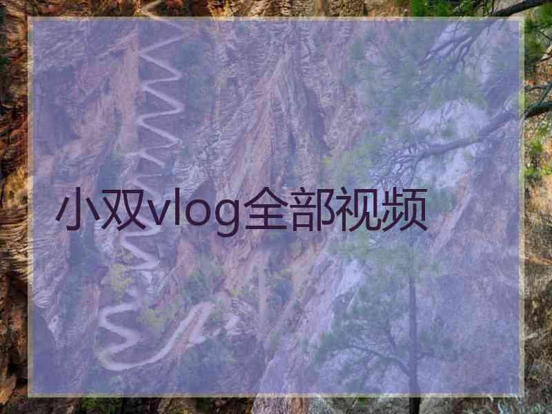 小双vlog全部视频