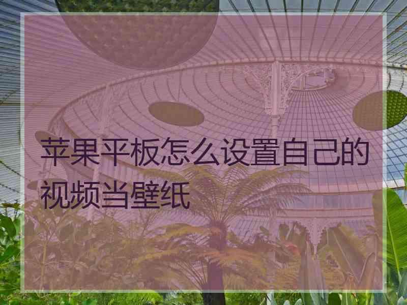苹果平板怎么设置自己的视频当壁纸