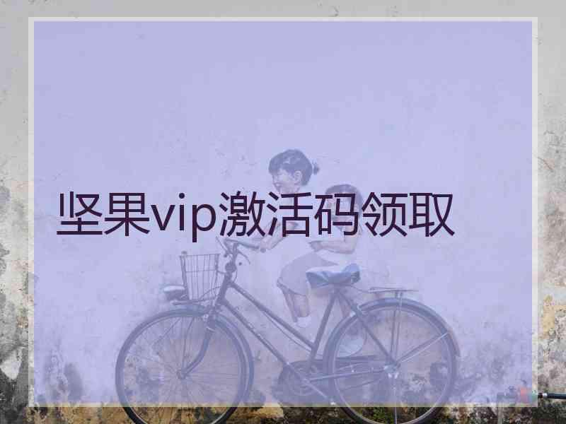 坚果vip激活码领取