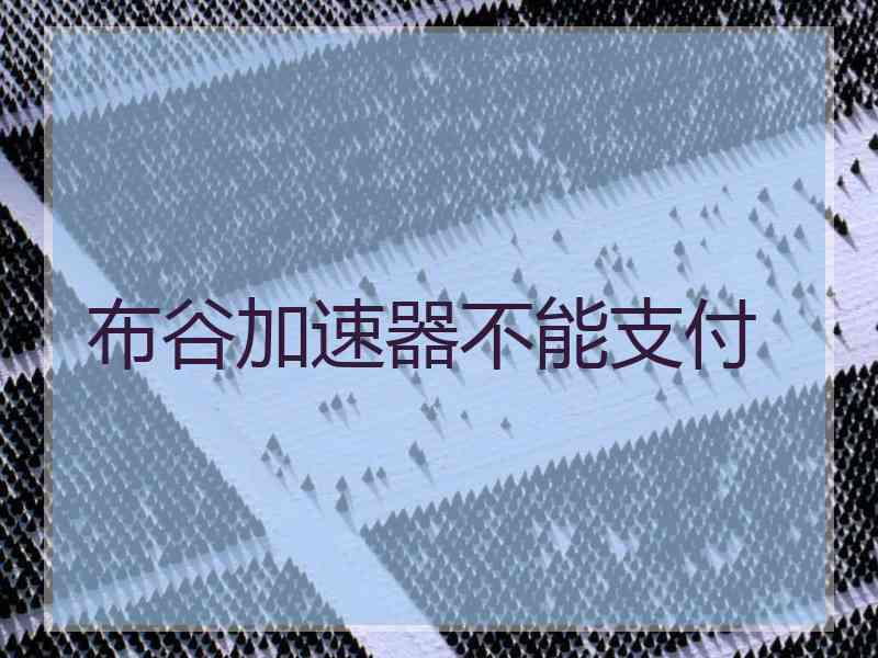 布谷加速器不能支付