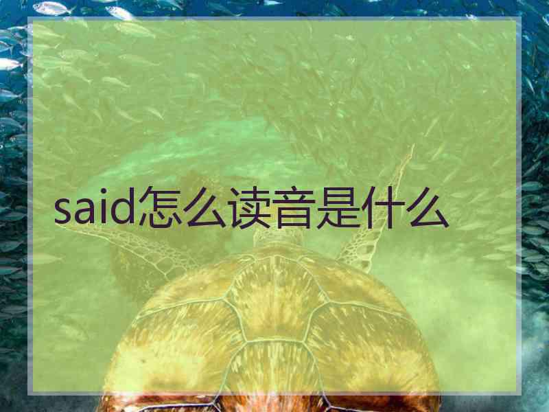 said怎么读音是什么