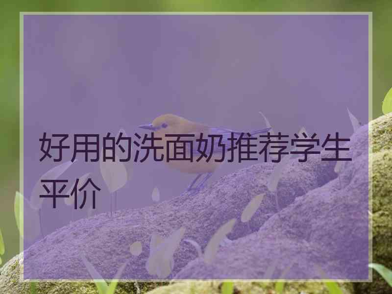 好用的洗面奶推荐学生平价