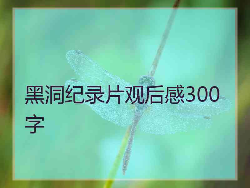 黑洞纪录片观后感300字