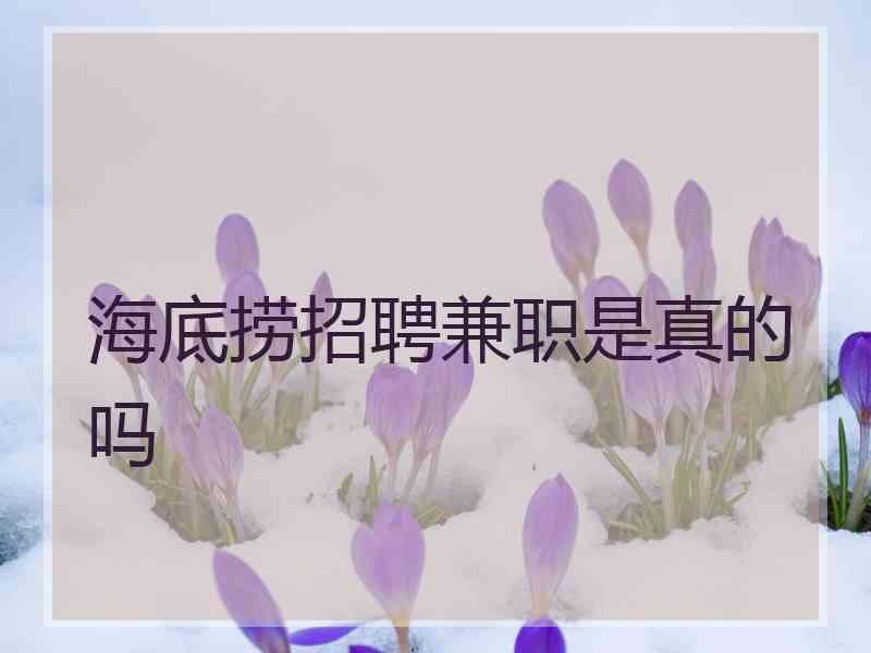 海底捞招聘兼职是真的吗