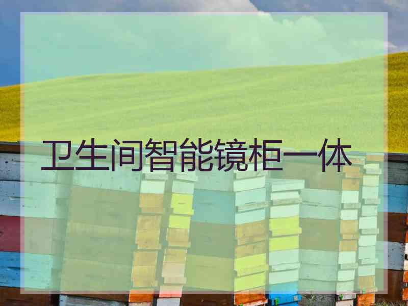 卫生间智能镜柜一体