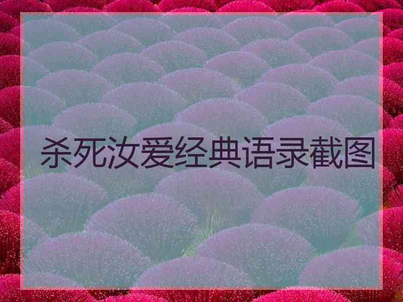 杀死汝爱经典语录截图