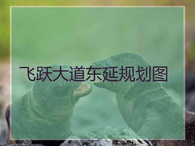 飞跃大道东延规划图